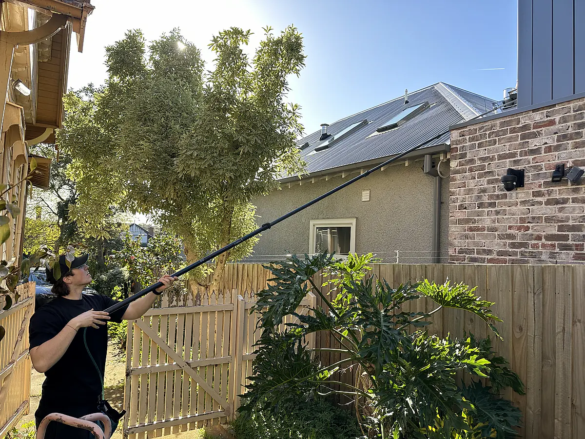 Cleaner standing in a side garden, water-fed pole reaching the upper-storey windows of a rendered extension