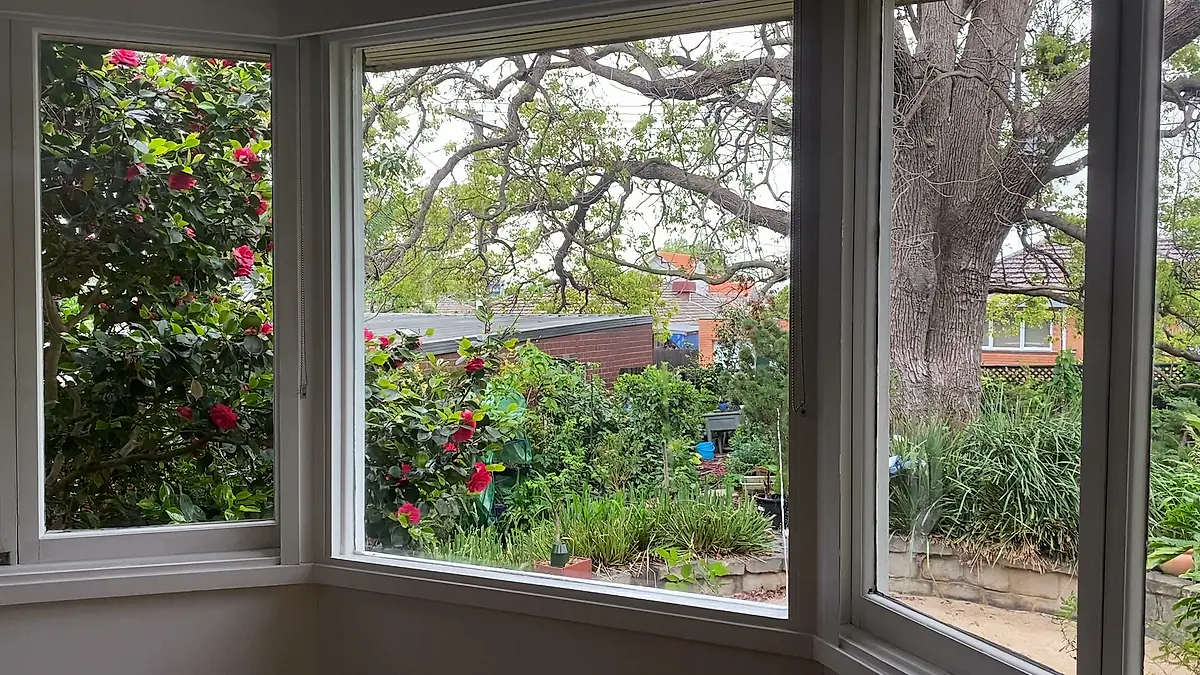 Cleaned bay window with the garden beyond legible through the glass