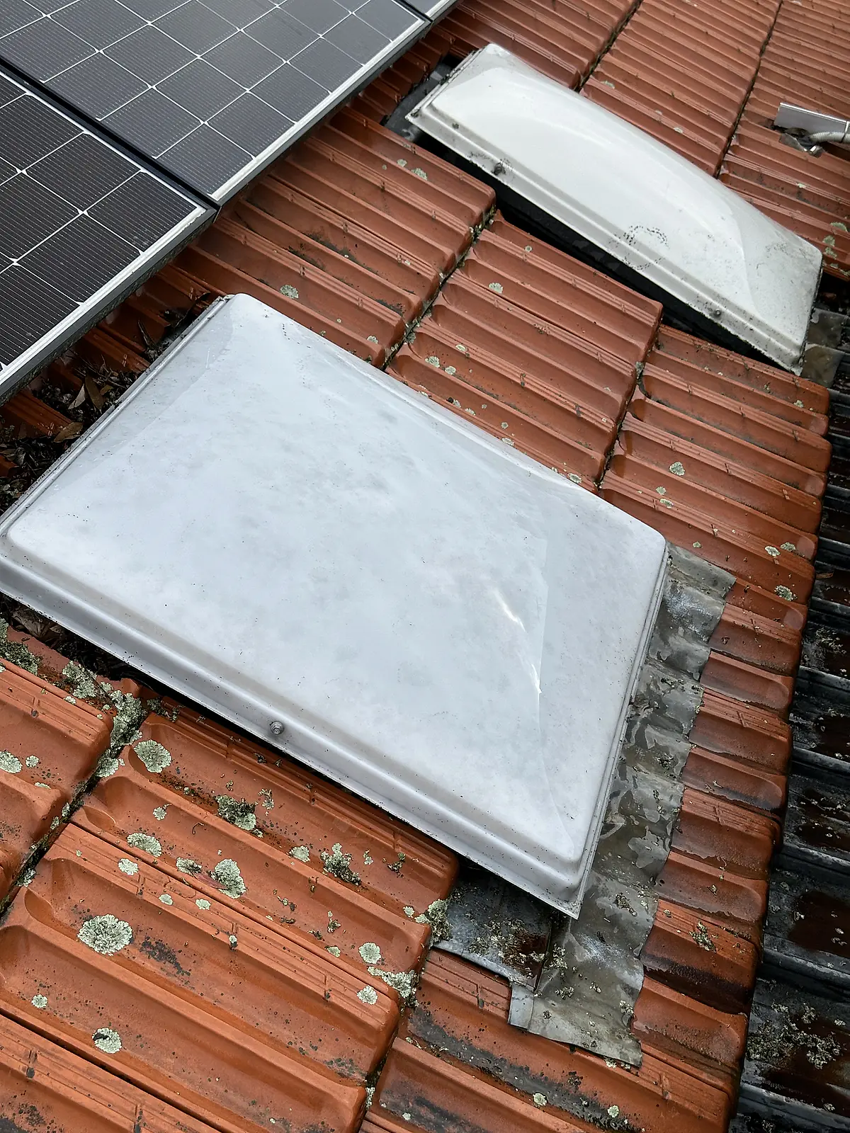 The same skylight dome after cleaning, lichen and moss removed